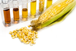 Fructose kann Menschen mit hohem Blutdruck gefährlich werden.